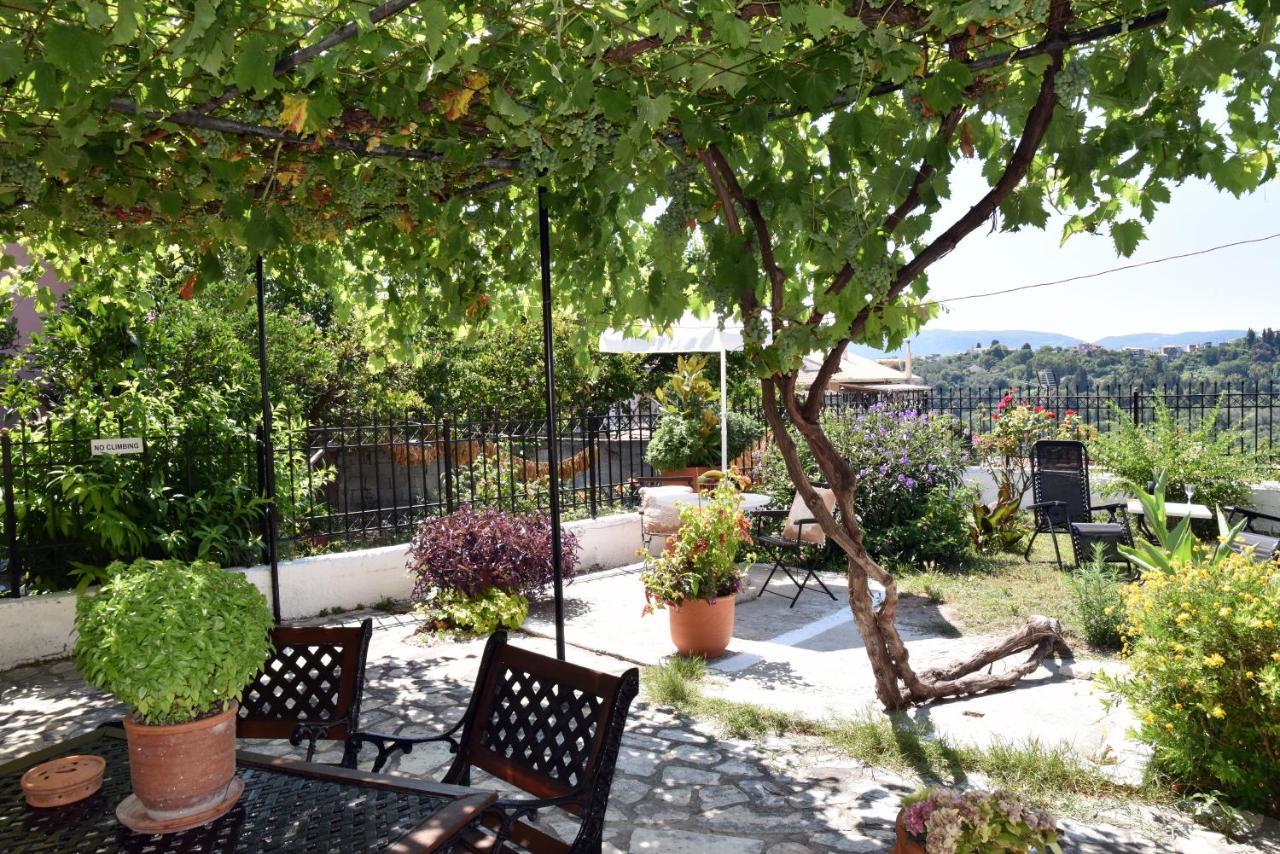 Traditional On The Hillside Of Antiperni Antipernoi