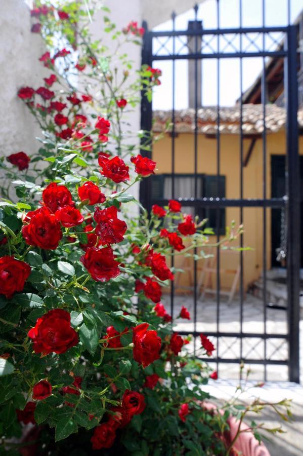 Traditional On The Hillside Of Antiperni Antipernoi
